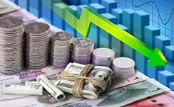 巴西将恢复向17国出口禽肉产品